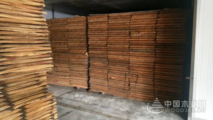 喜報捷傳  正立高效旋切板烘干機榮獲國家專(zhuān)利